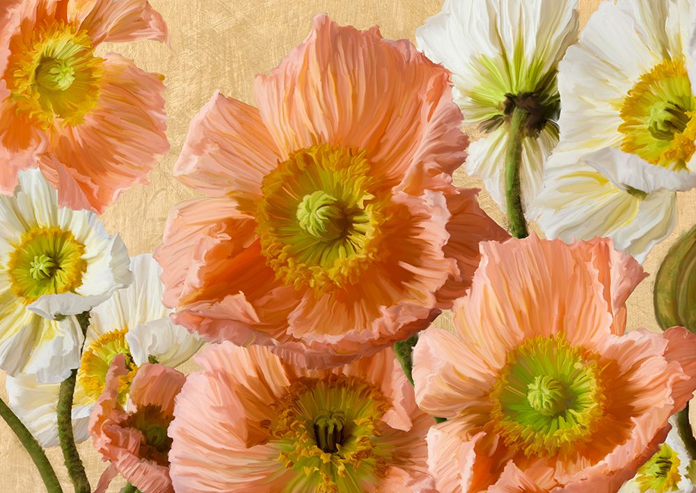 Poppies Of Gold art print by Luca Villa for $57.95 CAD