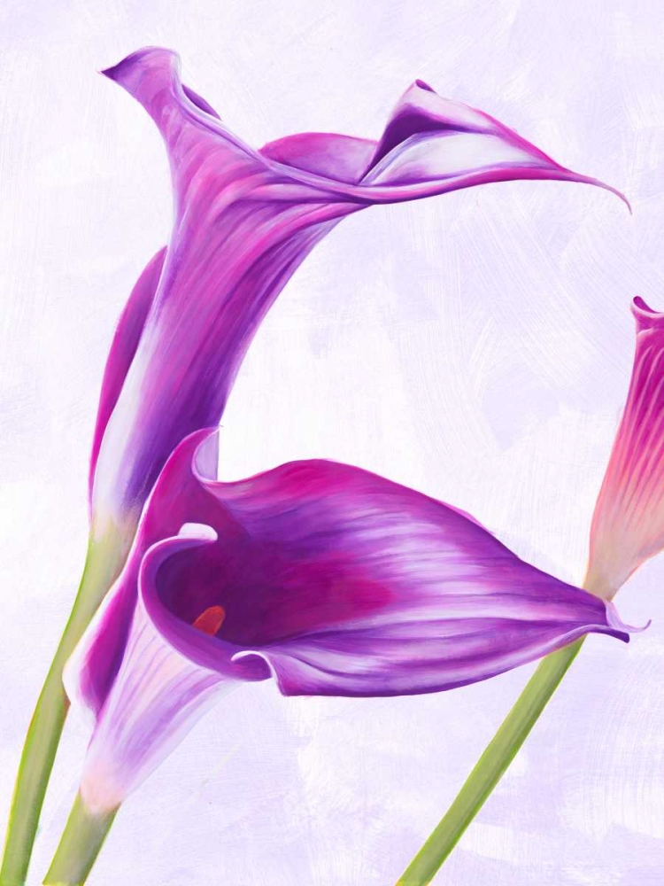 Duet I art print by Luca Villa for $57.95 CAD