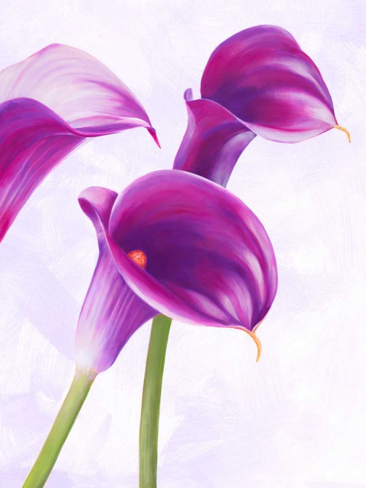 Duet II art print by Luca Villa for $57.95 CAD