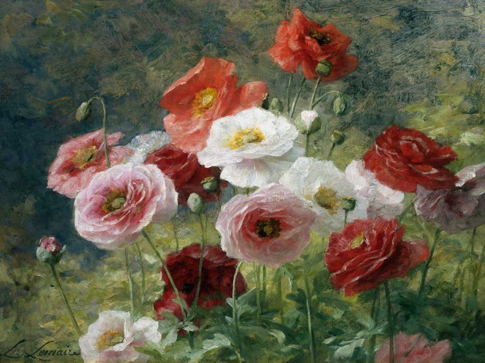 Poppies art print by Louis Marie Lemaire for $57.95 CAD