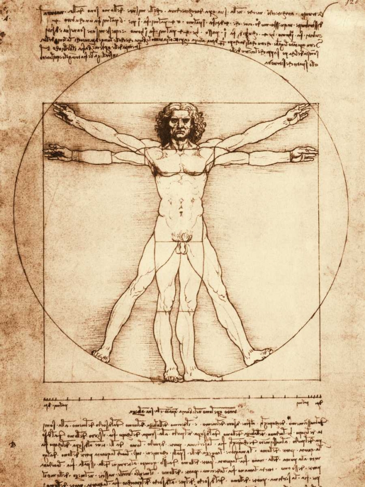 Vitruvian Man art print by Leonardo da Vinci for $57.95 CAD