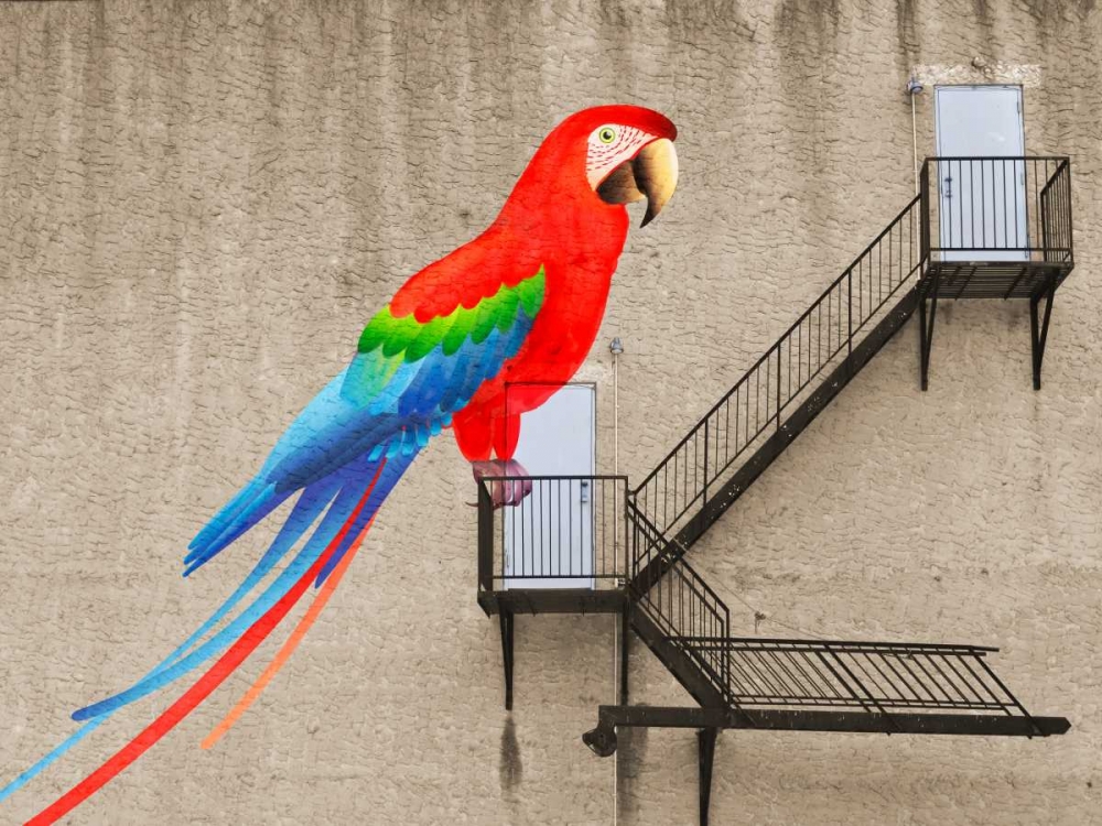 Escape from your cage art print by Masterfunk Collective for $57.95 CAD