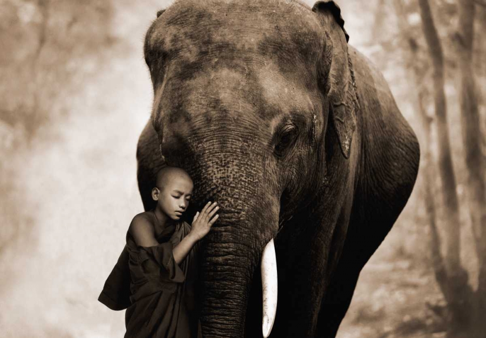 Healing Embrace art print by Marc Moreau for $57.95 CAD
