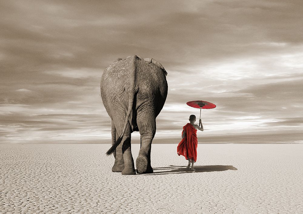 In the Plains art print by Marc Moreau for $57.95 CAD