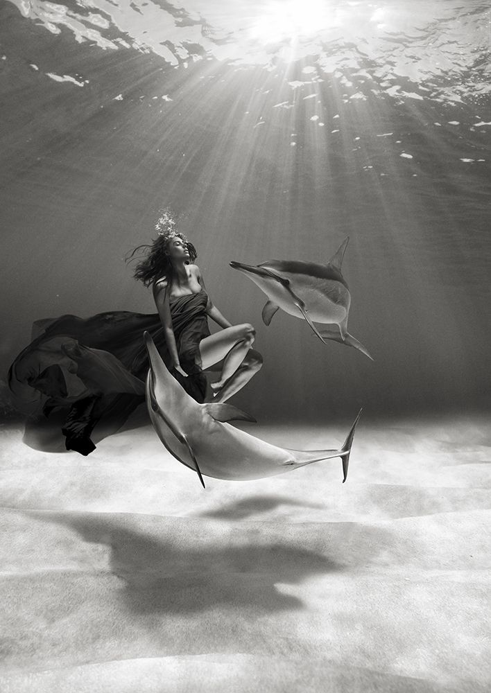 Dancing in the Ocean art print by Marc Moreau for $57.95 CAD