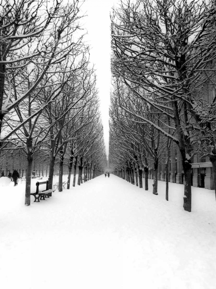 The Tuileries Garden under the snow, Paris art print by Michel Setboun for $57.95 CAD