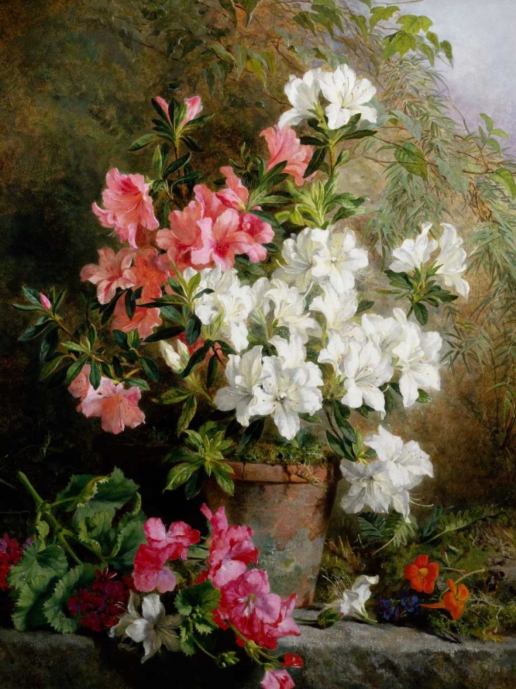 Still Life of Azaleas art print by Annie Feray Mutrie for $57.95 CAD