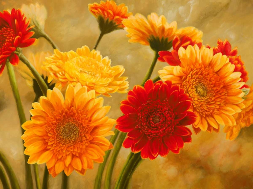 Gerbere nel sole art print by Serena Biffi for $57.95 CAD