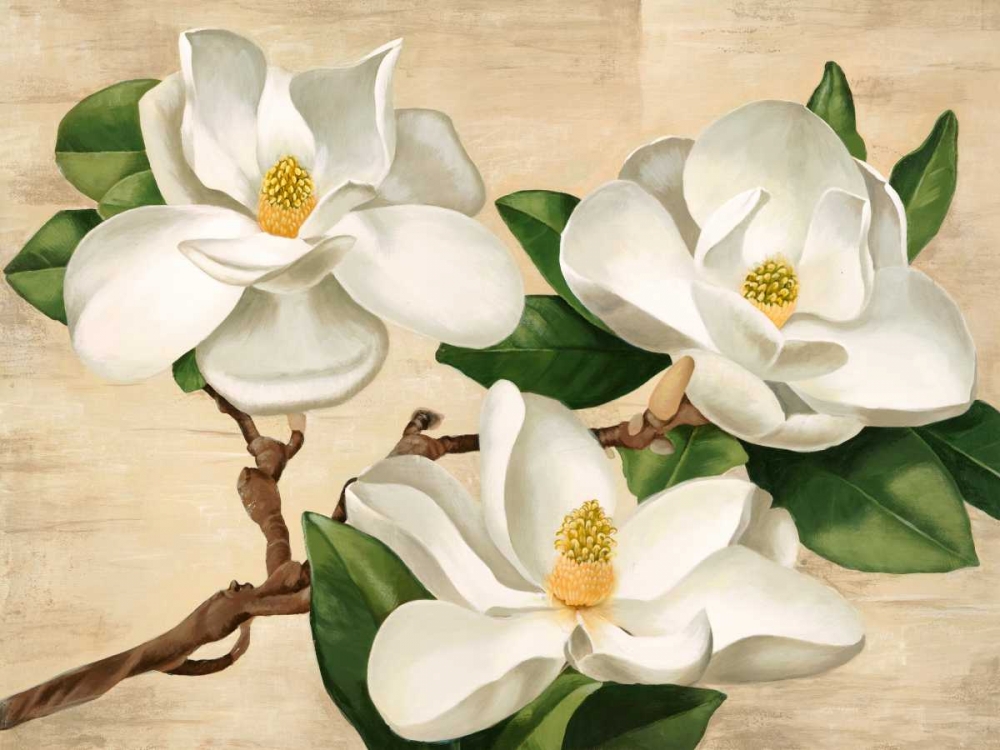 Magnolie bianche art print by Serena Biffi for $57.95 CAD