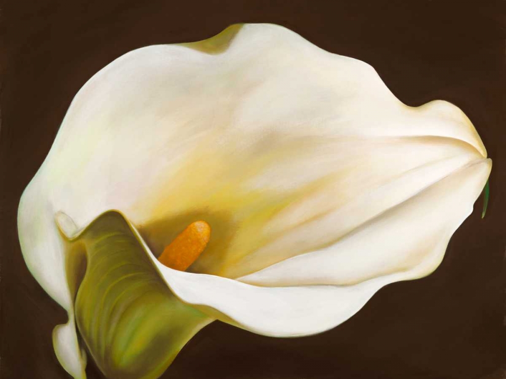 Calla art print by Serena Biffi for $57.95 CAD