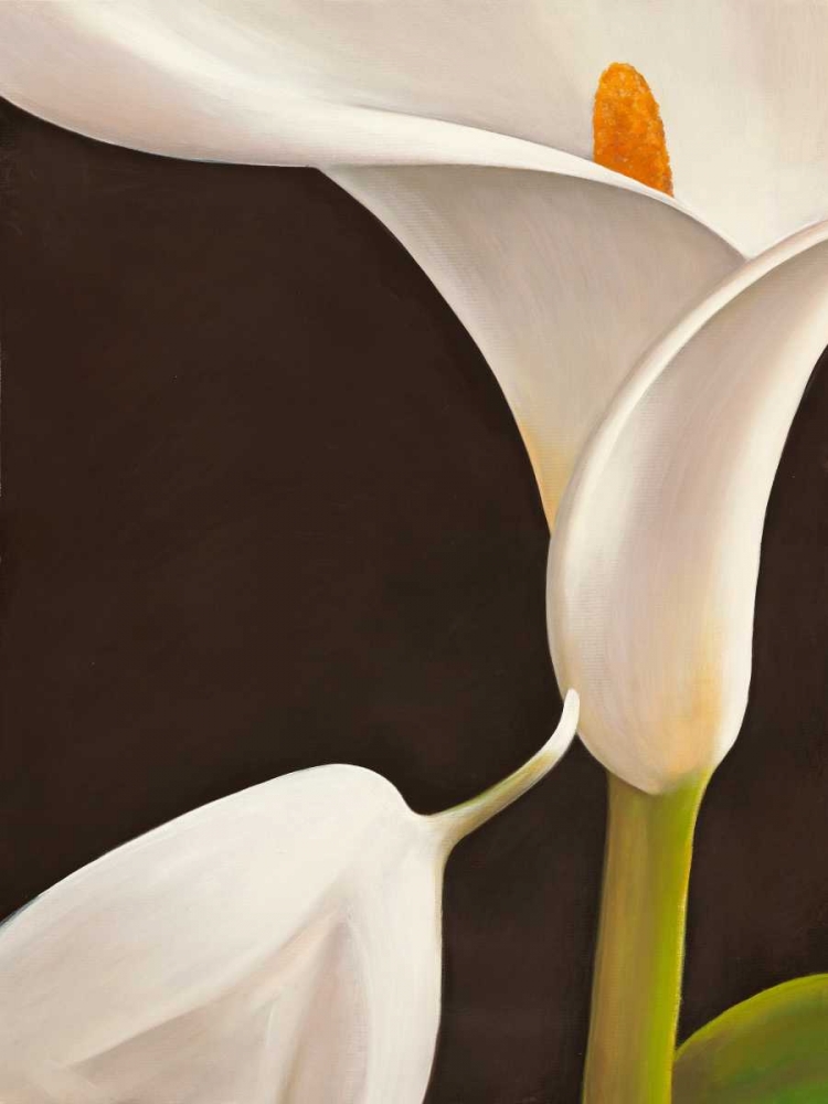 Calla moderna I art print by Serena Biffi for $57.95 CAD