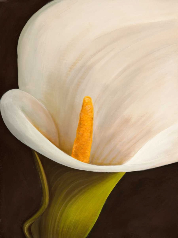 Calla moderna II art print by Serena Biffi for $57.95 CAD