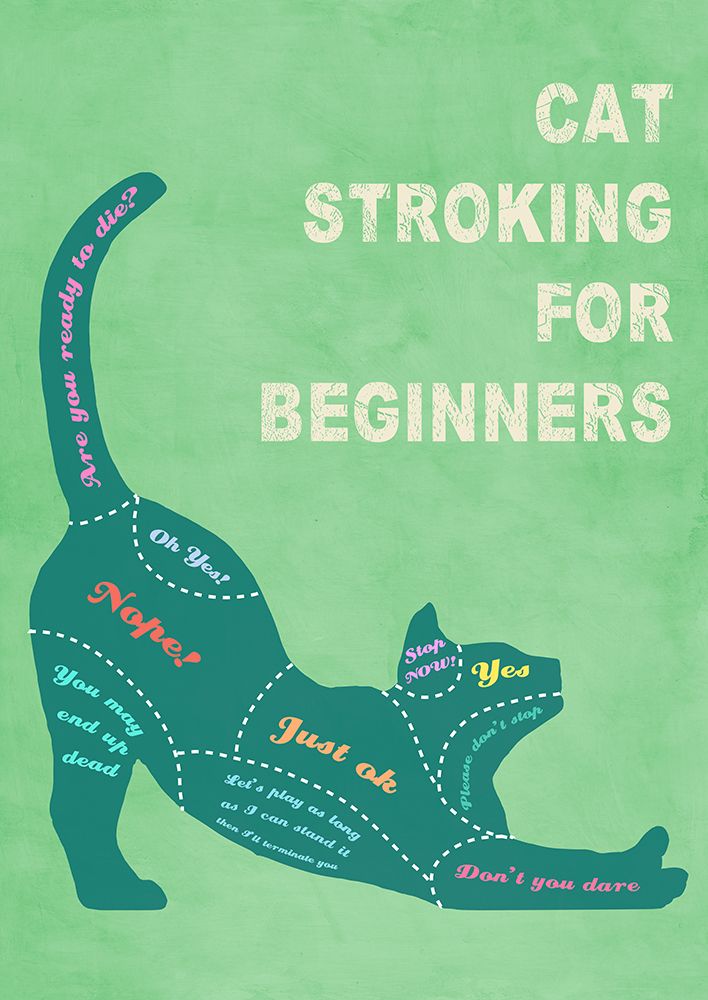 Cat Stroking for Beginners (color) art print by Steven Hill for $57.95 CAD