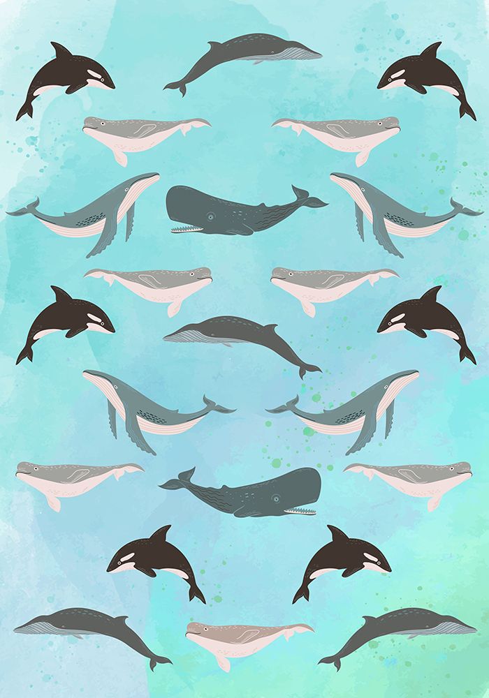 Wildlife pattern IV art print by Steven Hill for $57.95 CAD