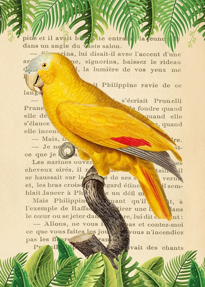The Blue-Fronted Parrot- After Levaillant art print by Stef Lamanche for $57.95 CAD