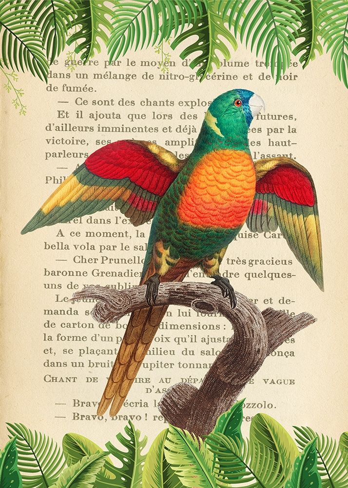 The Blue-Headed Parrot- After Levaillant art print by Stef Lamanche for $57.95 CAD