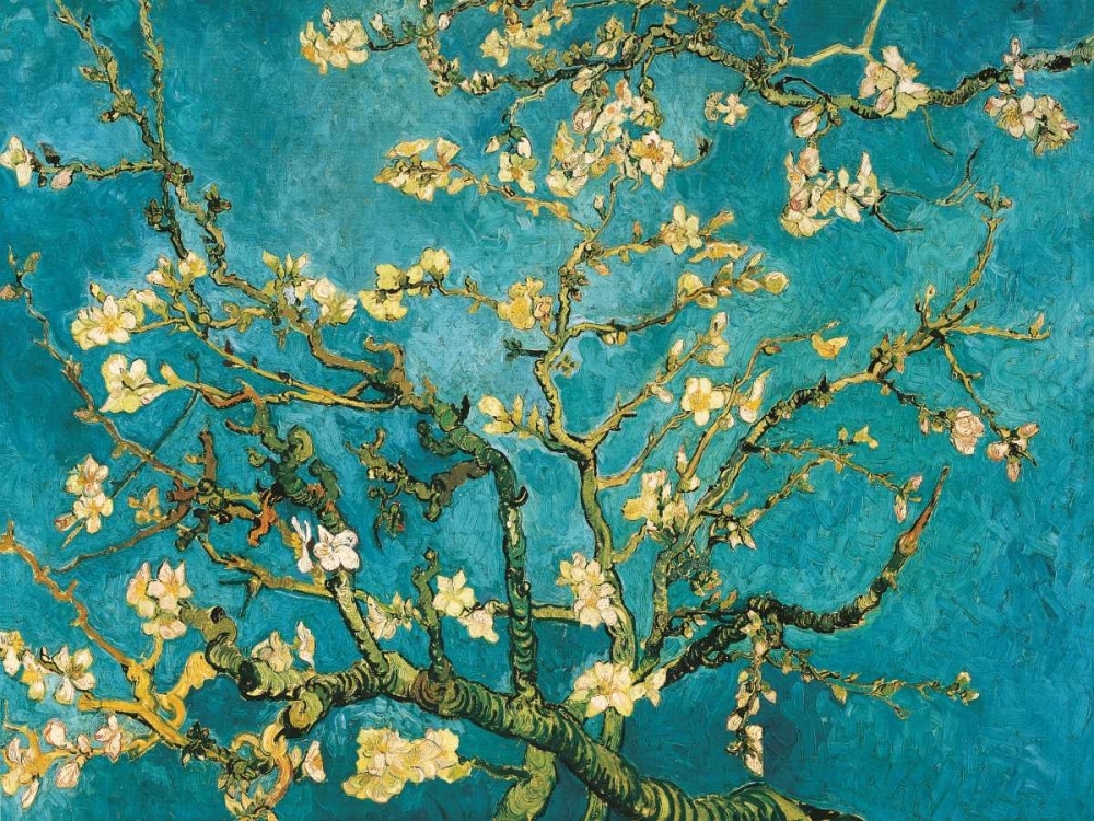 Mandorlo in fiore art print by Vincent Van Gogh for $57.95 CAD