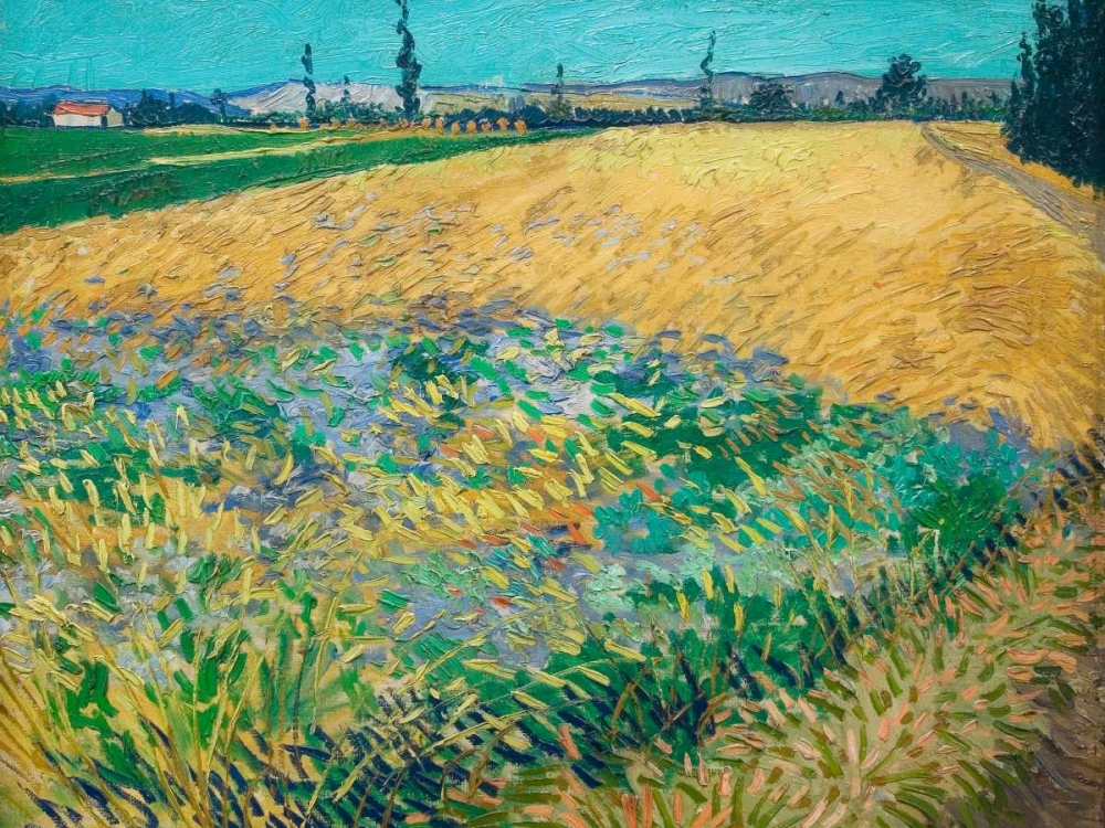 Wheatfield art print by Vincent van Gogh for $57.95 CAD