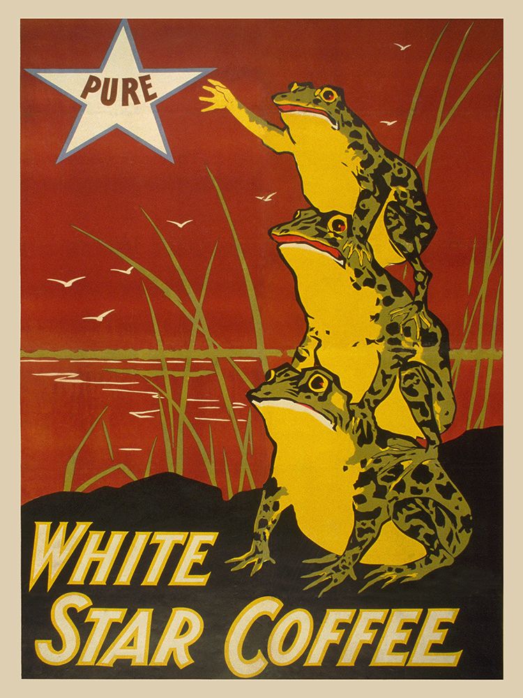 White Star Coffee, 1899 art print by Anonymous for $57.95 CAD