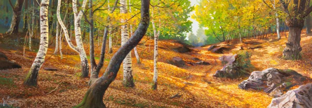 Sentiero nel bosco art print by Adriano Galasso for $57.95 CAD