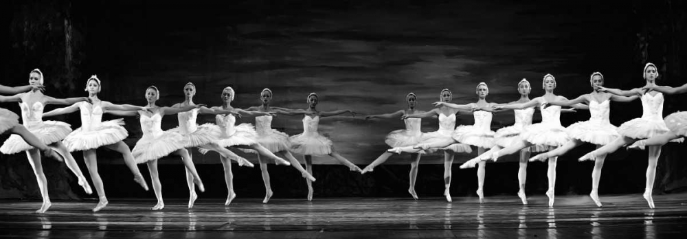 Swan Lake ballet art print by Anonymous for $57.95 CAD