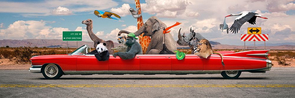 Road Trip art print by VizLab for $57.95 CAD