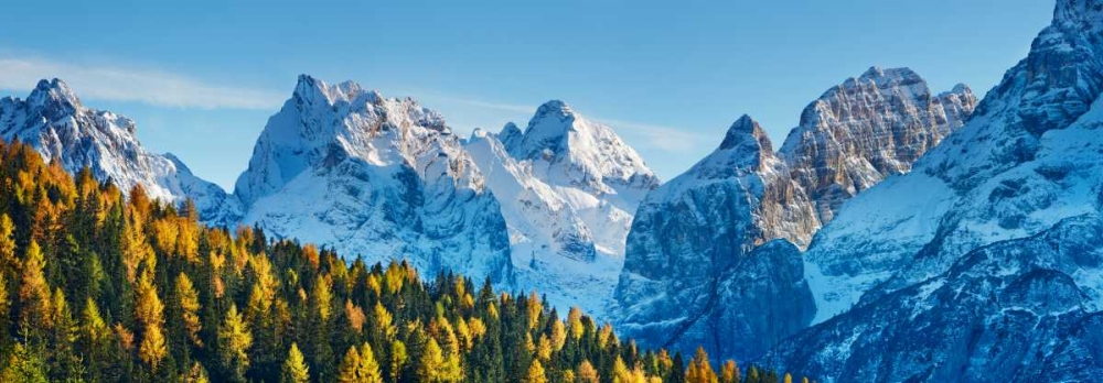 Larch forest and Cima bel Pra, Italy art print by Frank Krahmer for $57.95 CAD