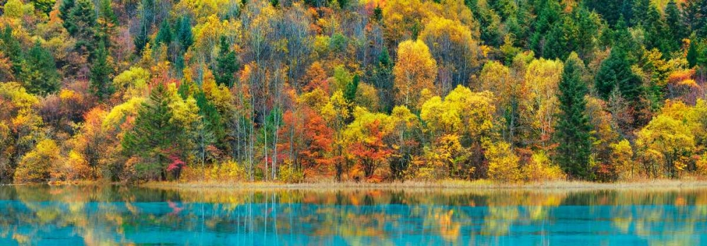 Lake and forest in autumn, China art print by Frank Krahmer for $57.95 CAD