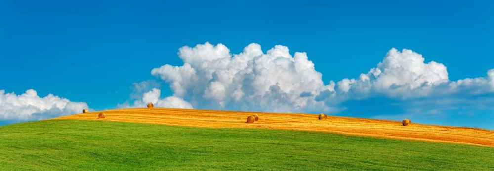 Corn field harvested, Tuscany, Italy art print by Frank Krahmer for $57.95 CAD