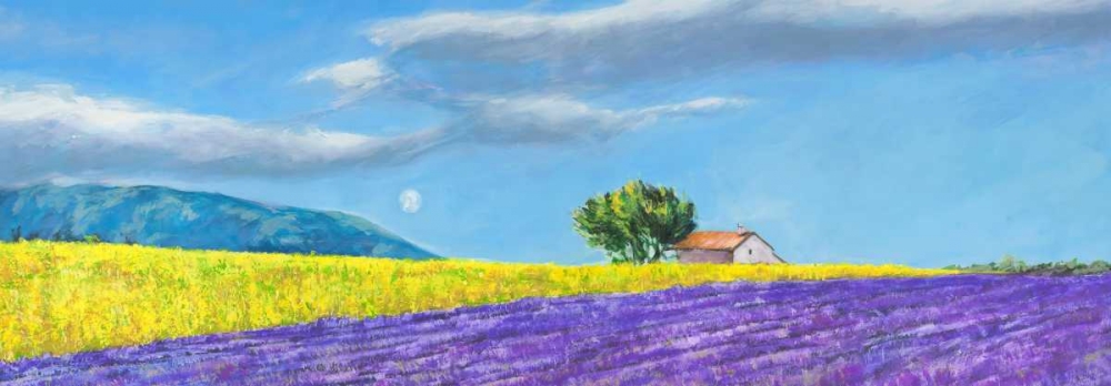 Campi di lavanda art print by Massimo Germani for $57.95 CAD