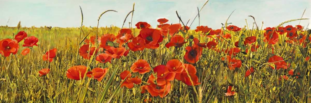 Poppy Field art print by Luca Villa for $57.95 CAD