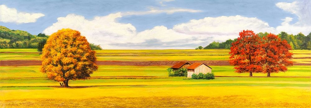 Pianure serene art print by Angelo Masera for $57.95 CAD