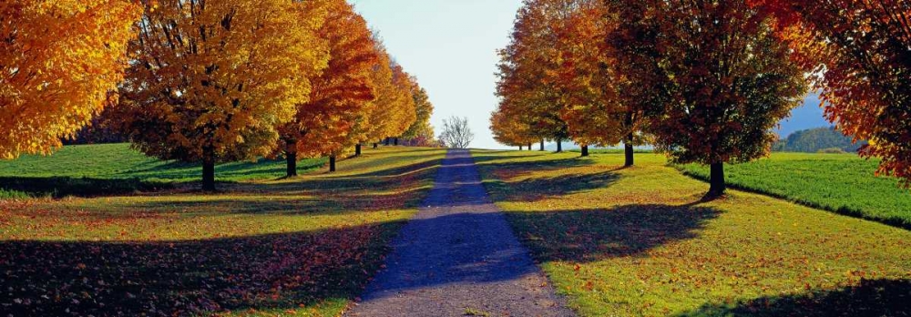 Autumn Road Storm King Mountain New York art print by Richard Berenholtz for $57.95 CAD