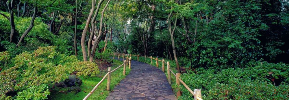 Tea Garden Walkway San Francisco Botanical Gardens art print by Richard Berenholtz for $57.95 CAD