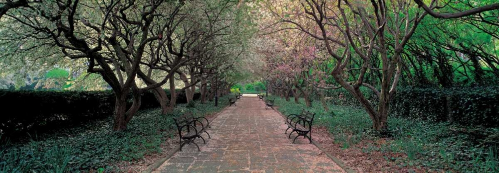 Through Conservatory Garden Central Park NYC art print by Richard Berenholtz for $57.95 CAD