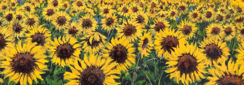 Girasoli art print by Tebo Marzari for $57.95 CAD