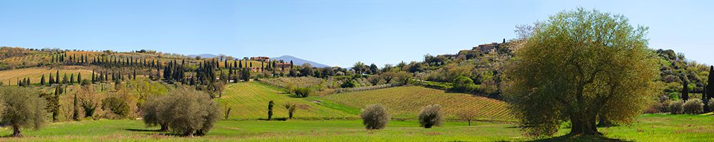 Val dOrcia-Siena-Tuscany art print by Pangea Images for $57.95 CAD