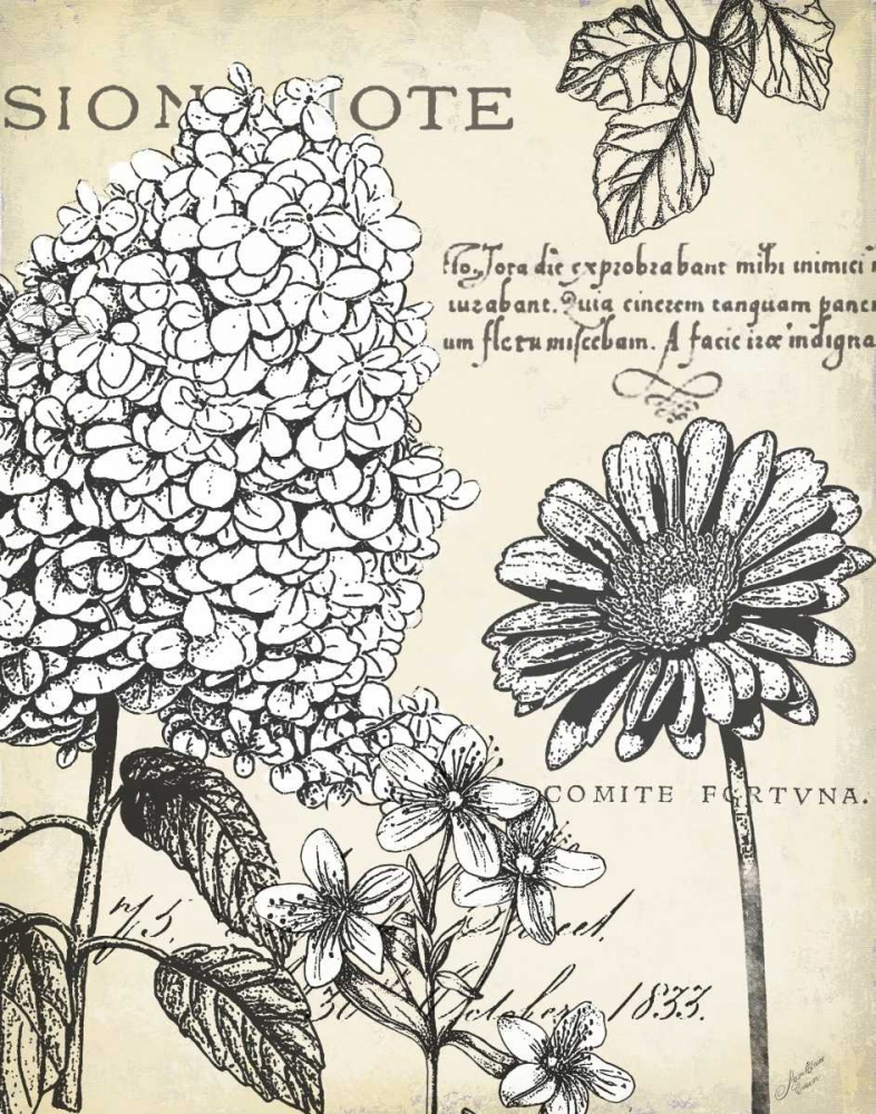 Pen and Ink Floral Study II art print by Marie-Elaine Cusson for $57.95 CAD