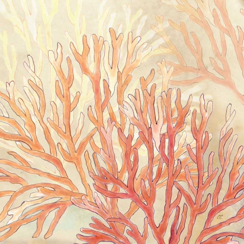 Coral Reef Cream II art print by Cynthia Coulter for $57.95 CAD
