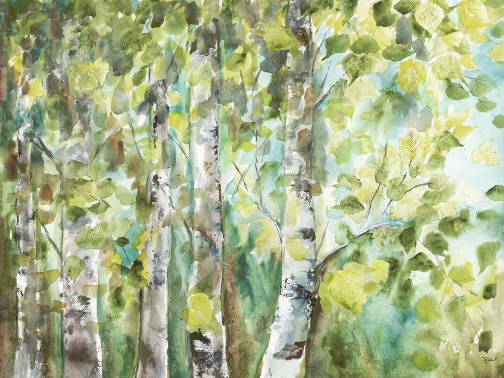 Watercolor Summer Aspens art print by Tre Sorelle Studios for $57.95 CAD