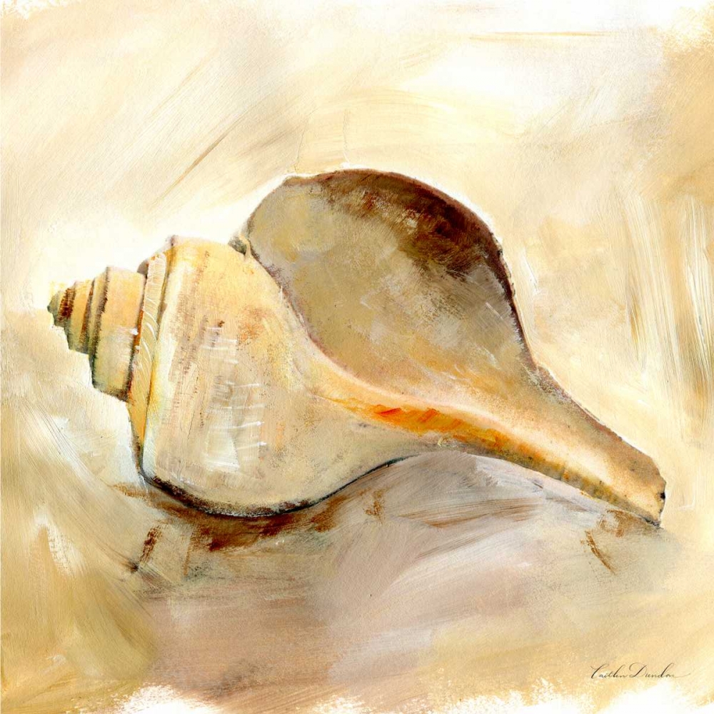 Painted Seashells III art print by Caitlin Dundon for $57.95 CAD
