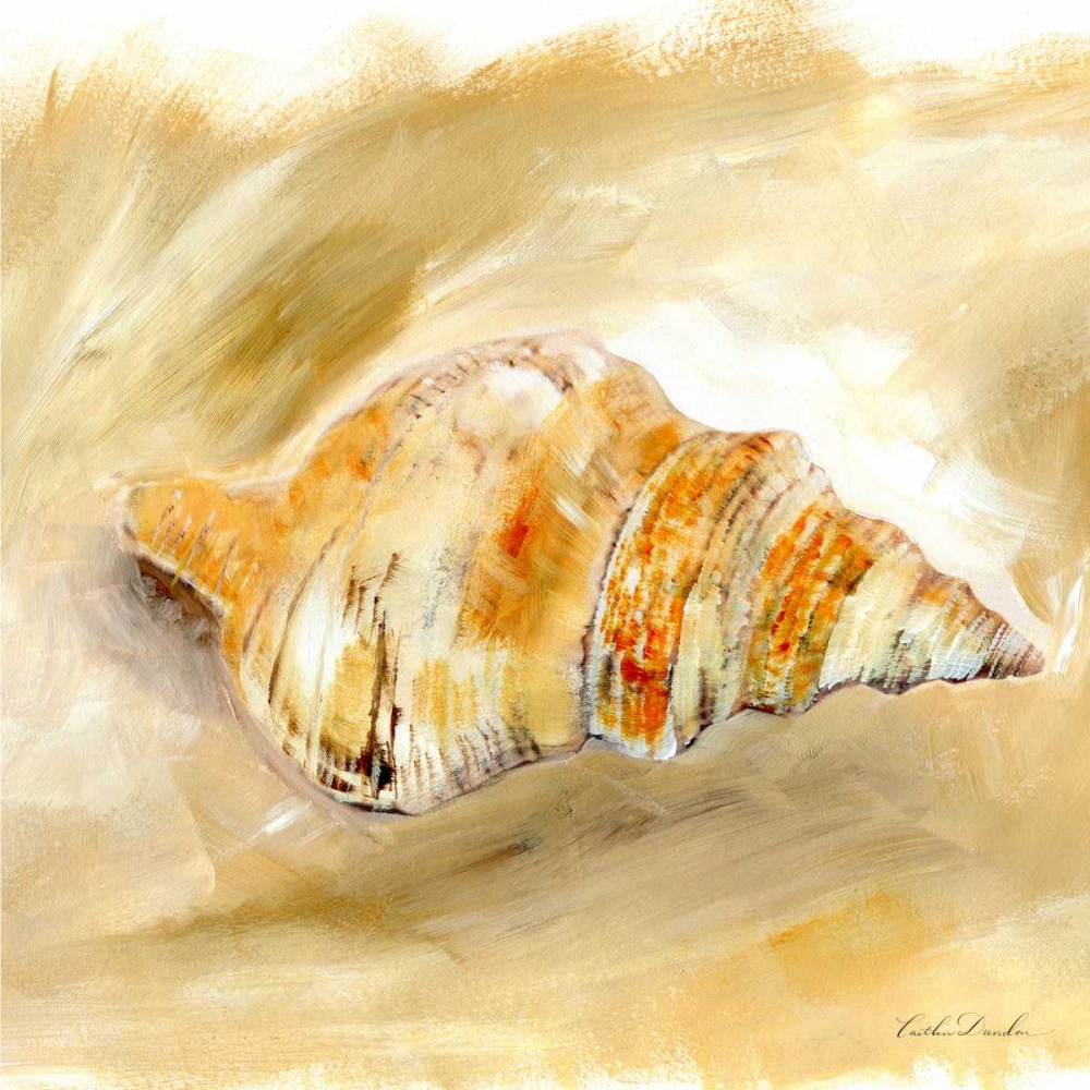 Painted Seashells IV art print by Caitlin Dundon for $57.95 CAD
