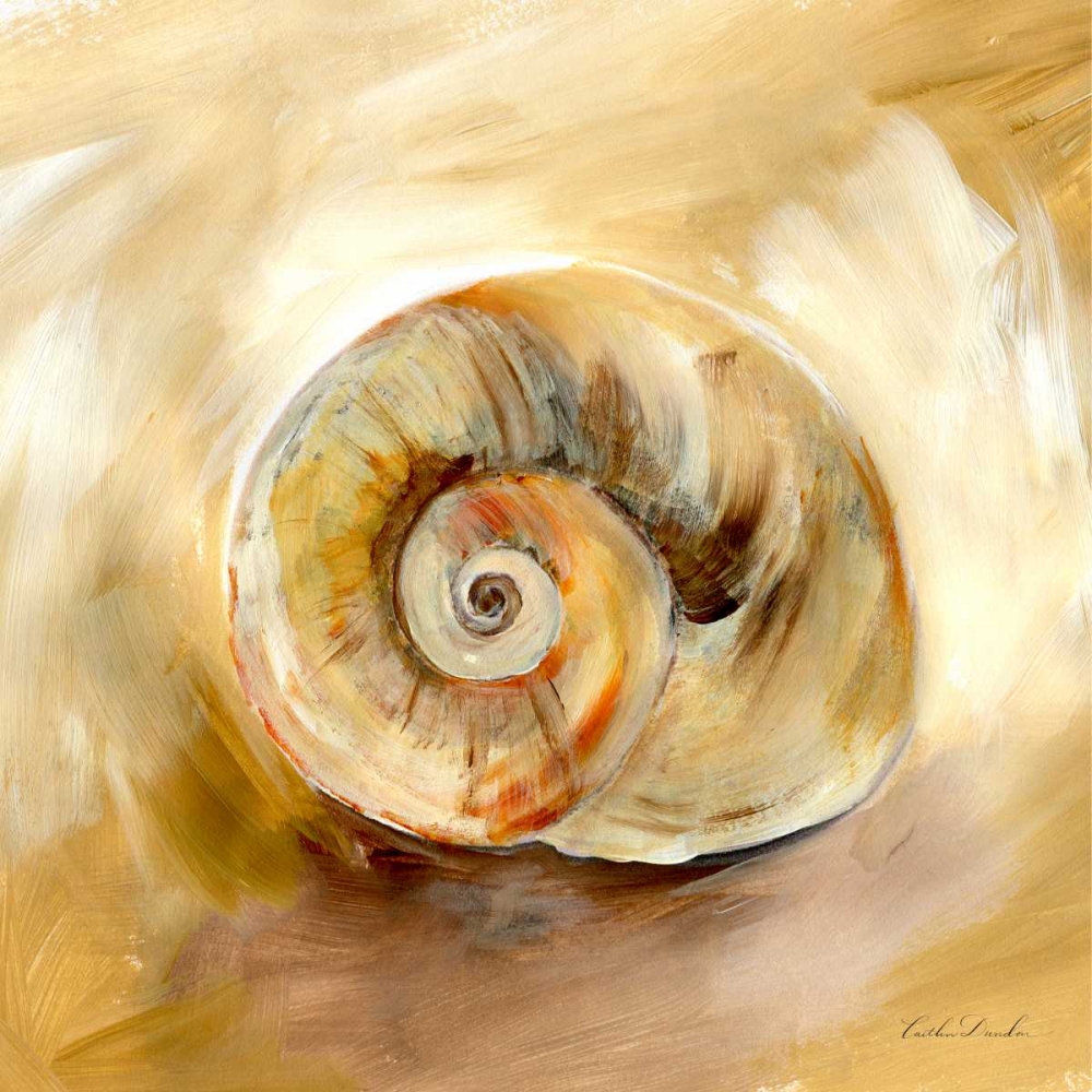 Painted Seashells V art print by Caitlin Dundon for $57.95 CAD