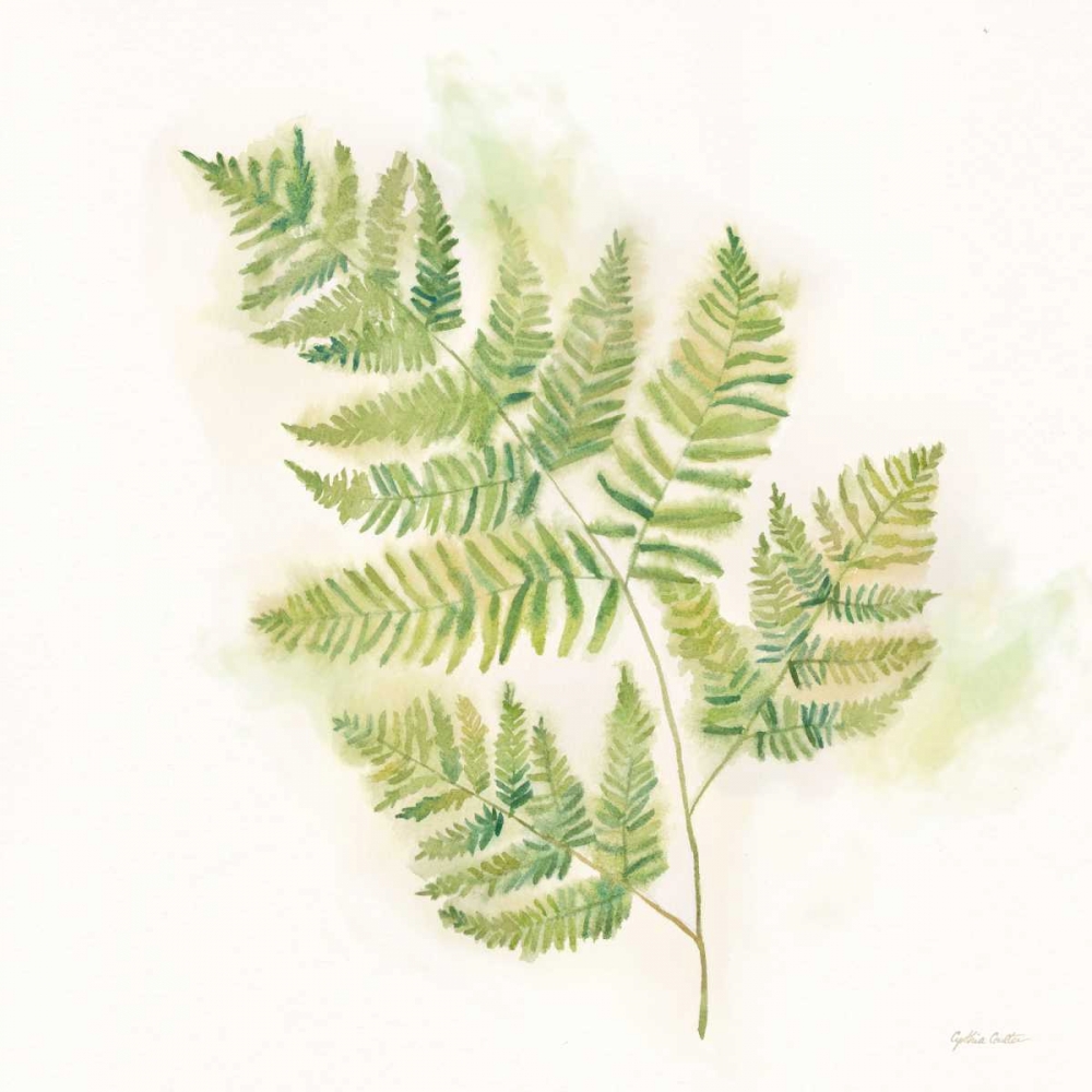 Modern Ferns II art print by Cynthia Coulter for $57.95 CAD