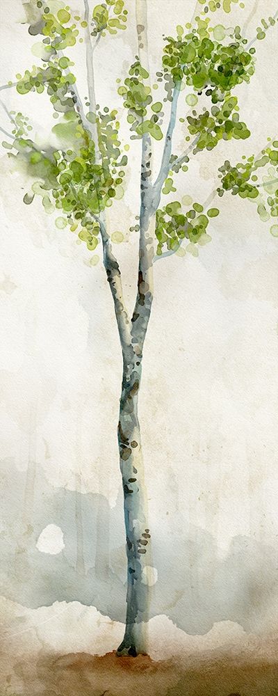 Watercolor Birch Trees I art print by Vittorio Milan for $57.95 CAD