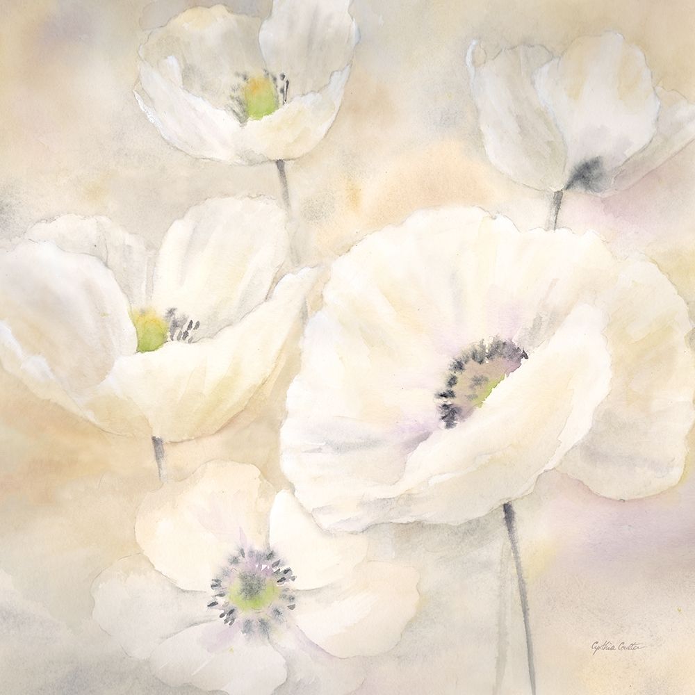 White Poppies II art print by Cynthia Coulter for $57.95 CAD