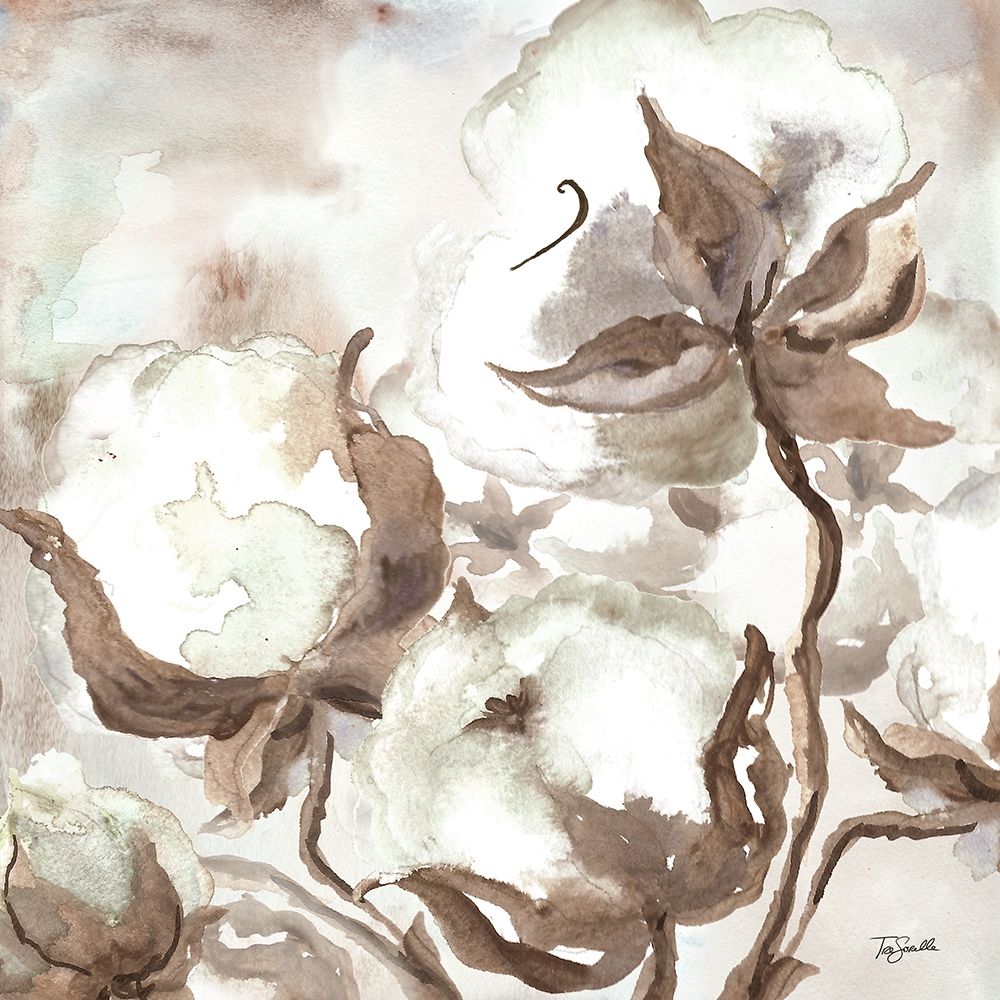Cotton Boll Triptych III art print by Tre Sorelle Studios for $57.95 CAD