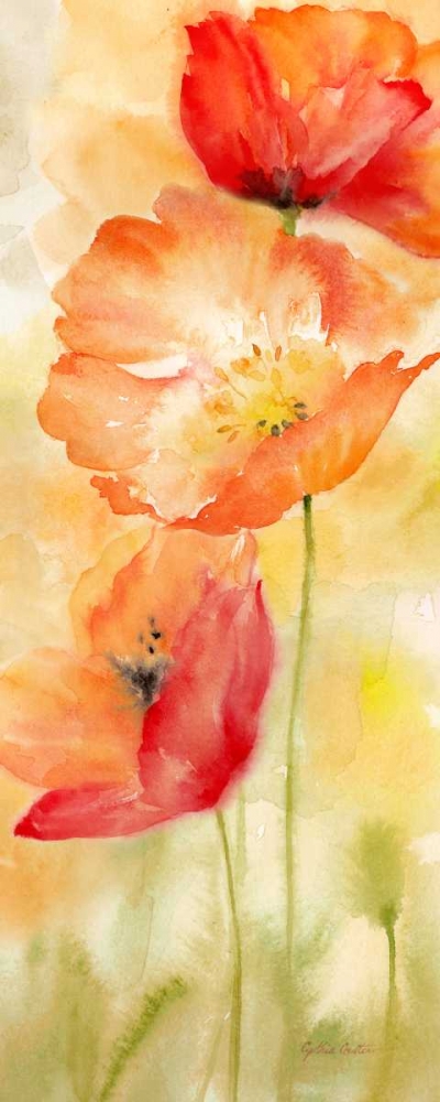 Watercolor Poppy  Meadow Spice Panel II art print by Cynthia Coulter for $57.95 CAD