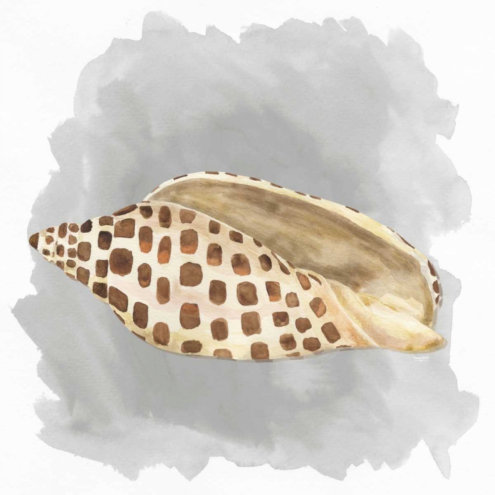 Shells on Grey I art print by Tara Reed for $57.95 CAD