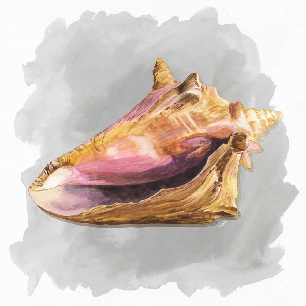 Shells on Grey II art print by Tara Reed for $57.95 CAD